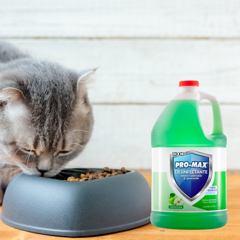 masterdirect's tweet image. #TrucosDeLimpieza A los consentidos de la casa 🐶🐱 les limpian sus áreas con el Desinfectante PRO-MAX porque quedan super limpias, libres de virus y bacterias.
Cuéntanos ¿Cuál es tu team?
🐶 - Por el “Team Perro”
🐱 - Por el “Team Gato”