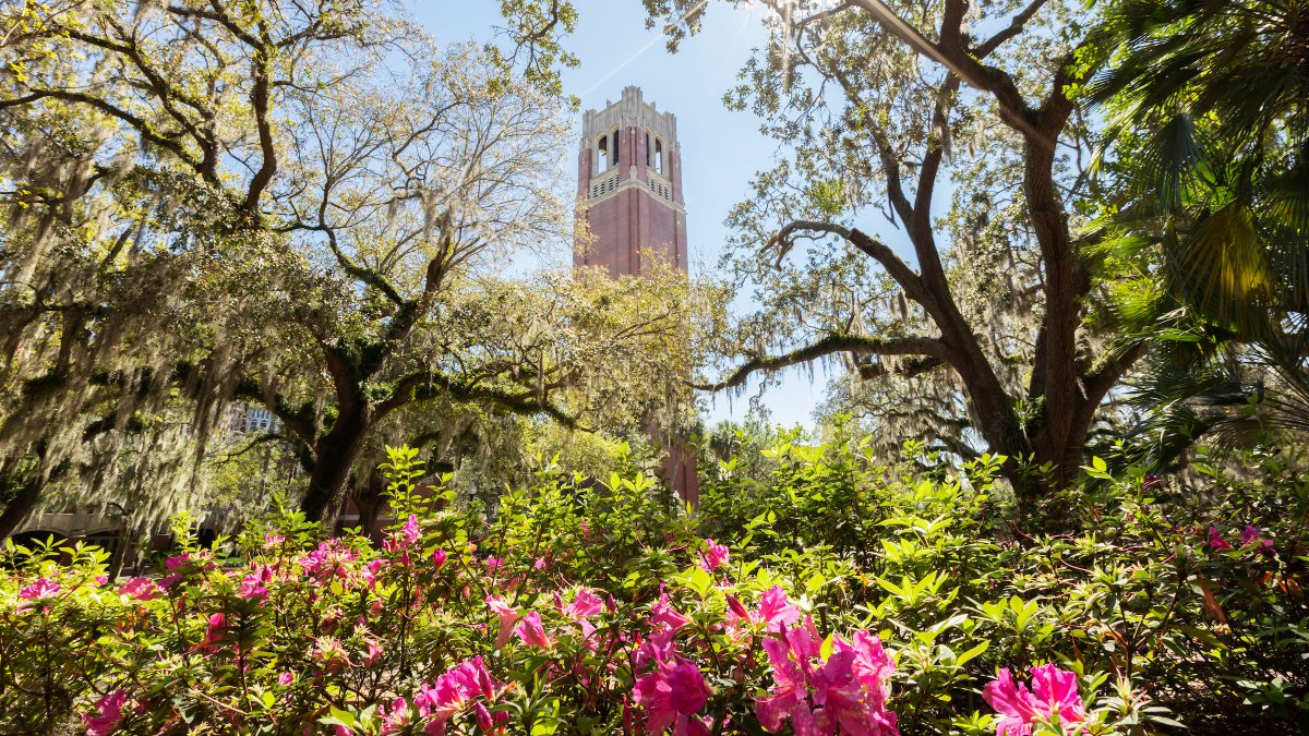 ufalumni's tweet photo. Springโthat time of year between sweater weather and sweaty weather here in Florida.
Share your favorite Gator spring moment with us. #SpringInFlorida #SpringGator https://t.co/9fYQ1wUhs1