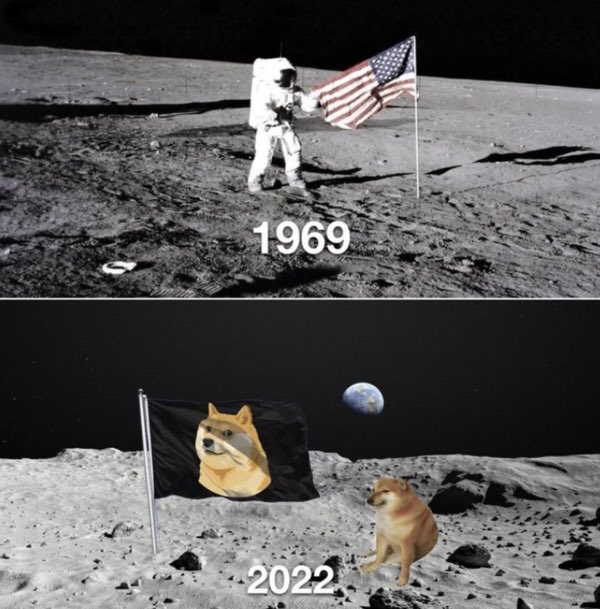 metadoge's tweet photo. @elonmusk Let’s seize this https://t.co/JEanGG5f7g