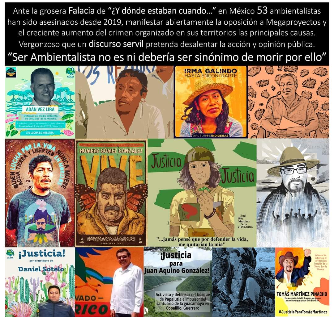 Así como defiendes al #anciano ojalá los hubieses defendido a ellos
Así como atacas a los #pseudoambientalistas ojalá hubieses atacado a quienes los mataron
La ventaja de esos #actores al hacer su video es que a ellos no los van a matar como a los verdaderos #ambientalistas
