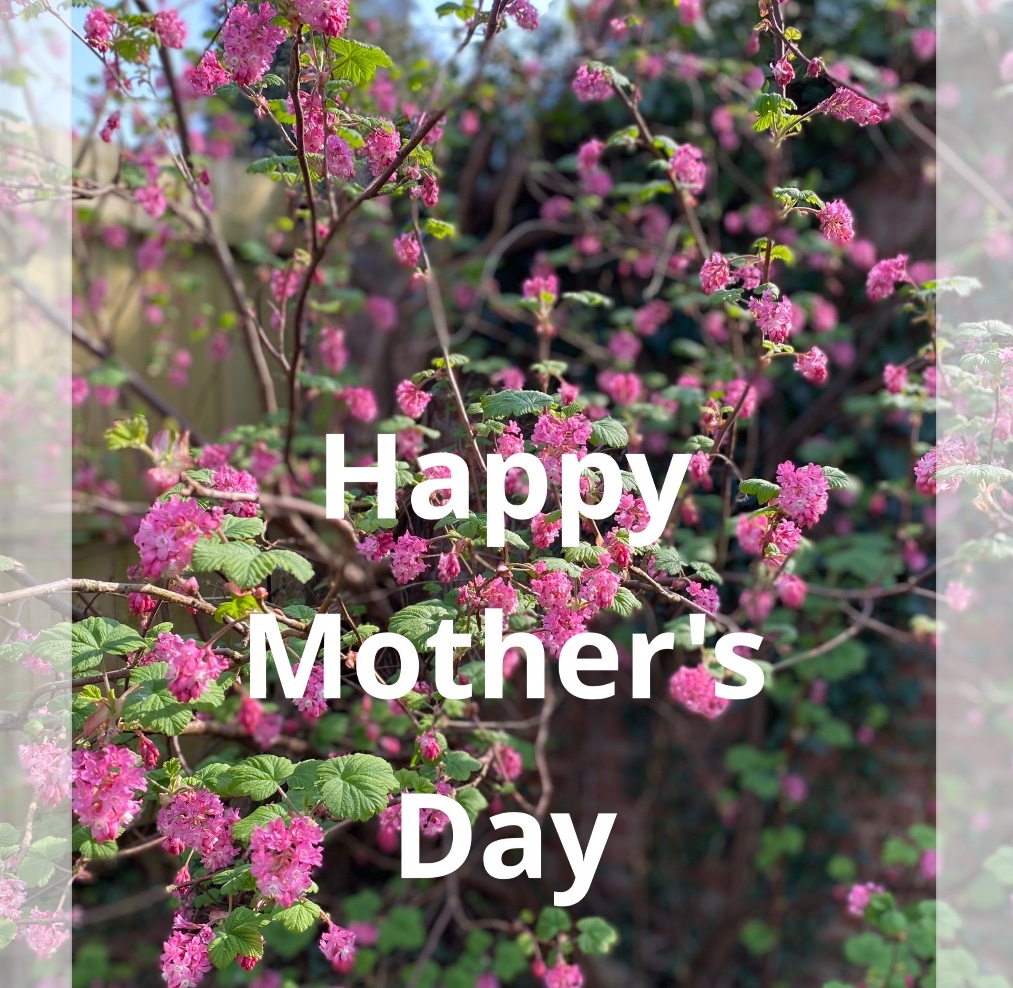 Green & Jenks (@greenandjenks) on Twitter photo 