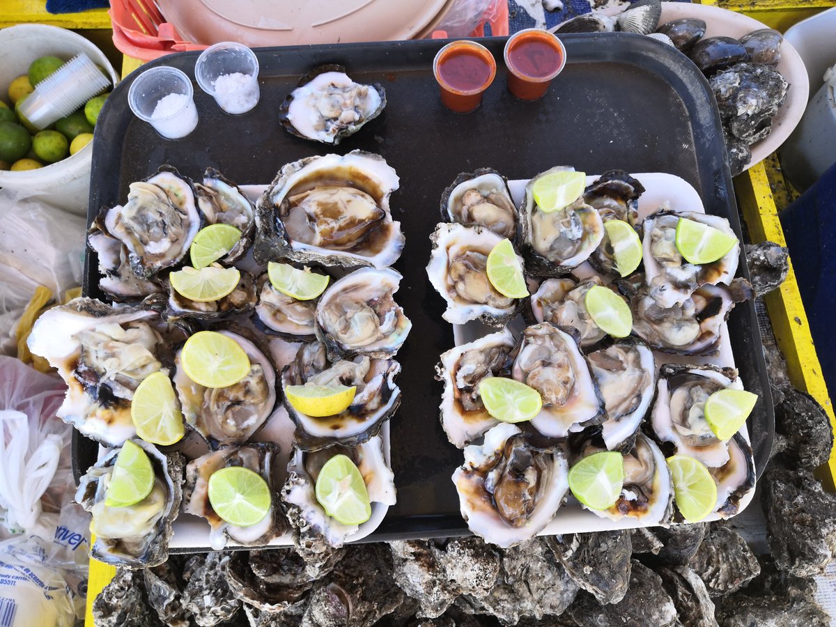 Por marea roja, se vedó temporalmente la extracción, almacenamiento, venta y consumo de ostión, almeja, mejillón, pata de mula, callo de hacha y caracoles de la bahía de #Mazatlán a partir del viernes 25 de marzo 🦪🐚🌊... 1/4