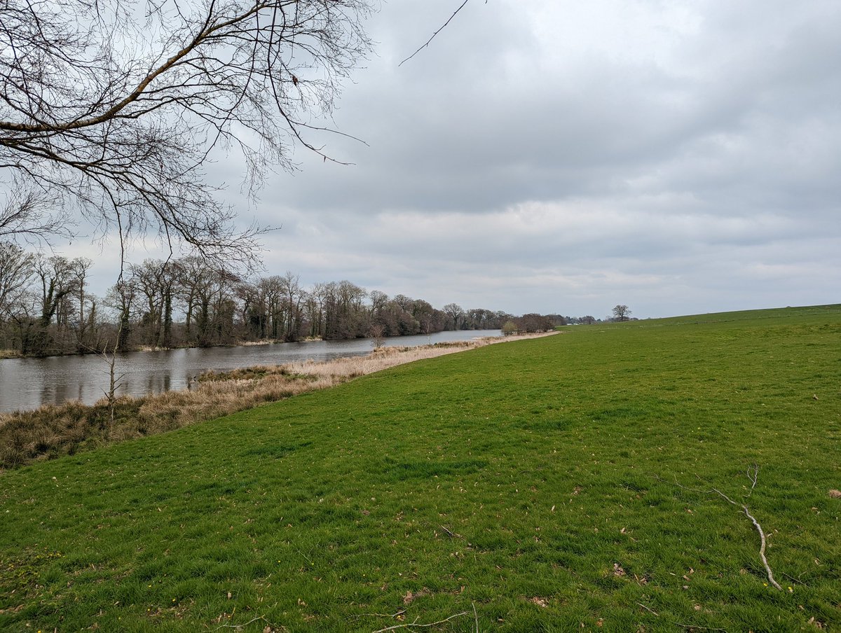 PoetSimon's tweet image. Lovely scenery on the course today #golf #HawkstonePark