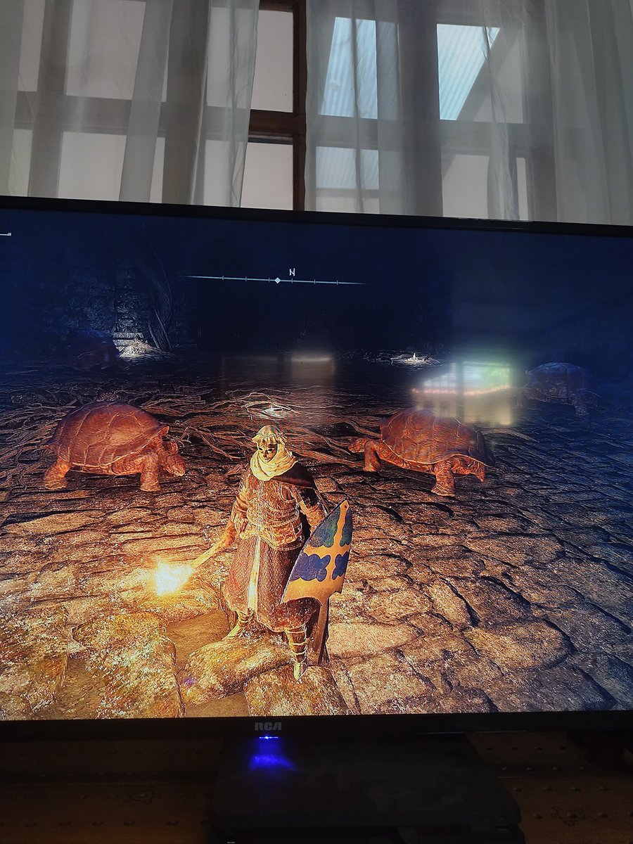 dan_hawksbill's tweet photo. I was playing Elden Ring and reached the most homecoming place ever

#Turtles https://t.co/6kedV05Gv1