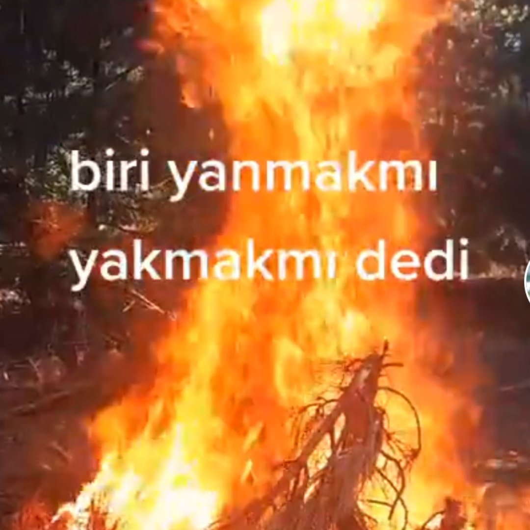 #YeniProfilResmi