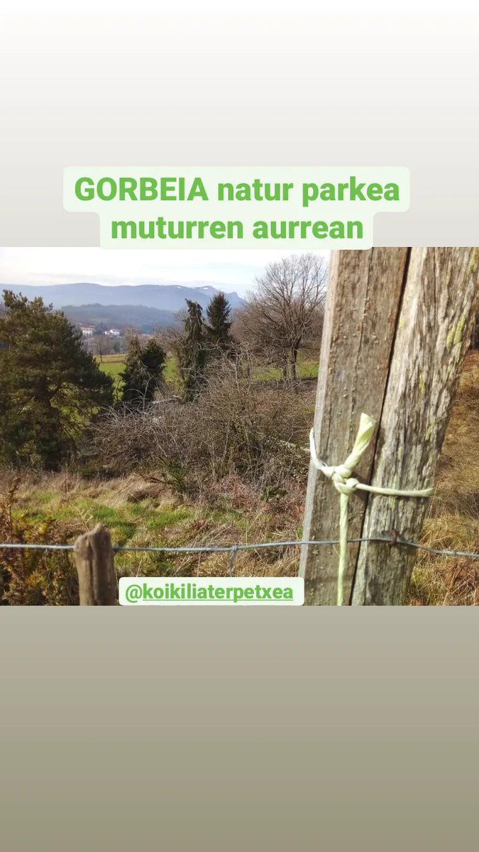 <a href="/KoiAterpetxea/">Koikili Aterpetxea</a> GORBEIA logelatik <a href="/GorbeiaEuskadi/">Gorbeia Euskadi</a> natur parkea eskura! #grandhostel #masqueunalojamiento #certificadoscalidad #bikain #sidtec <a href="/Booking/">Booking</a> 9,2 <a href="/Tripadvisor/">Tripadvisor</a> <a href="/TripadvisorES/">Tripadvisor España</a>  EXCELENCE #Otxandio <a href="/DisfrutaBizkaia/">Disfruta Bizkaia</a> #EH <a href="/turismo_vasco/">TurismoVasco</a> <a href="/aitordelgadocom/">Aitor Delgado Tours - Luxury Basque Tour Guide</a> <a href="/Basquetour_eus/">Basquetour</a>