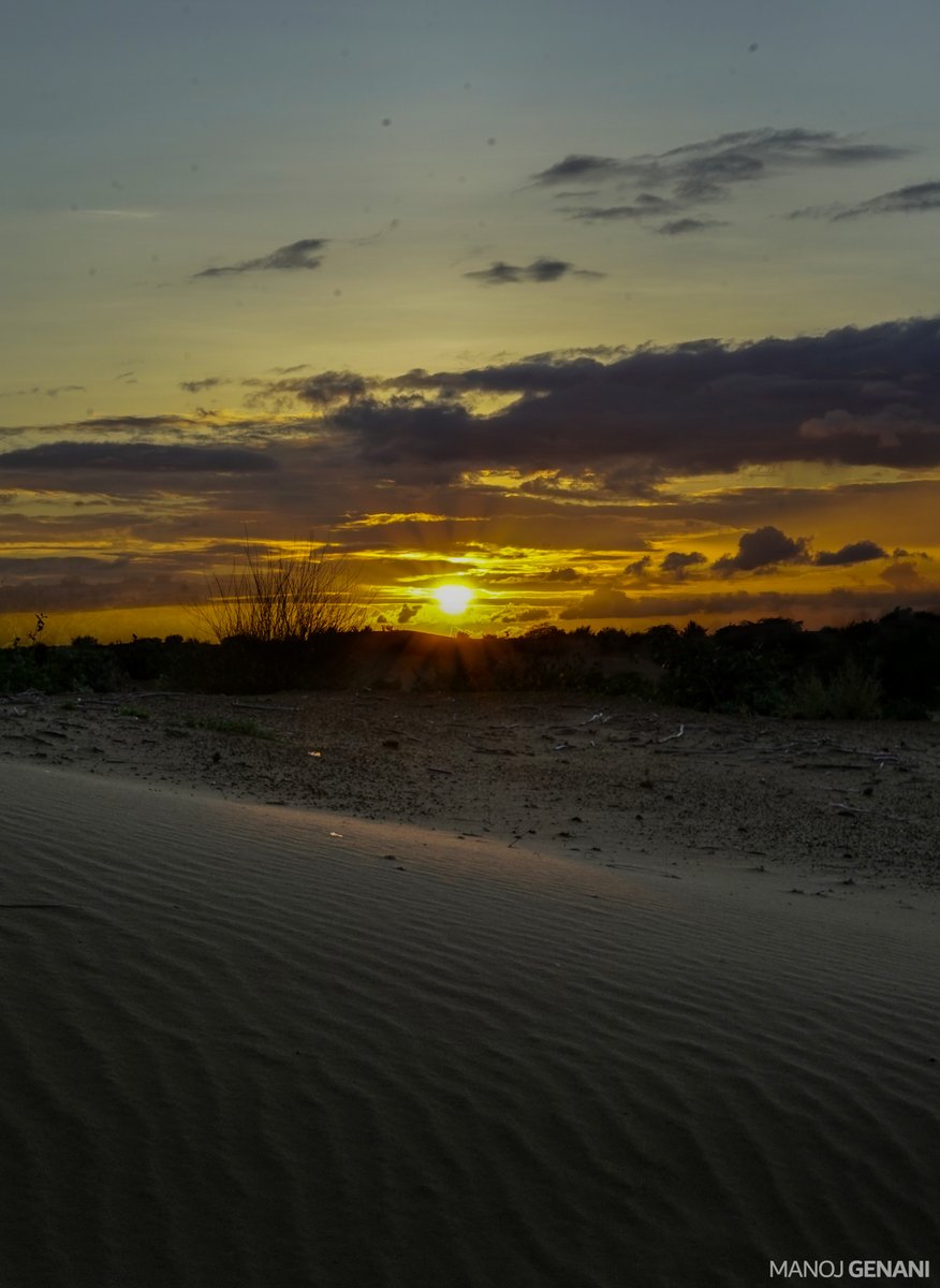 genanimanoj's tweet photo. Evening in the desert of #Thar #Sindh <3 https://t.co/33vgjmxwRQ