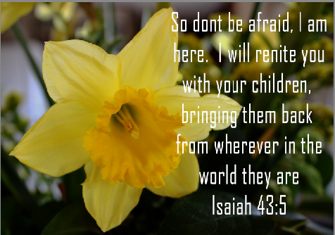 Judy Williams tweet media