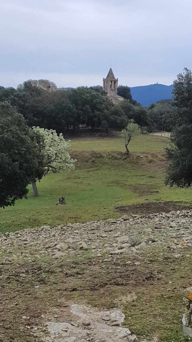 perezconchs's tweet photo. Amagada en mig de les Gavarres trobem l'ermita de Sant Cosme i Sant Damià que pertany al veïnat dels Metges,una joia del romànic que malgrat el seu estat val la pena visitar. https://t.co/JhlKI7g4zl