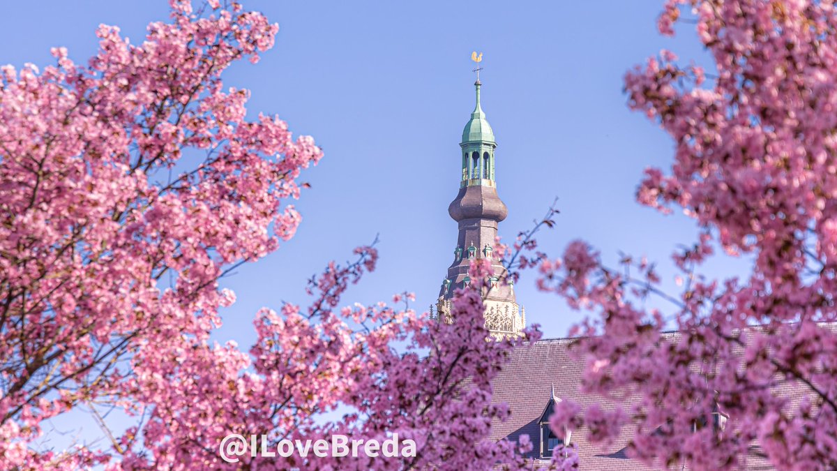 Genieten! Lente in Breda. 🌺