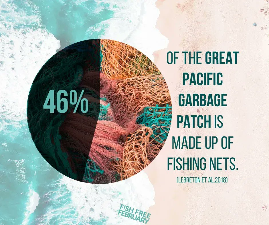 Fish Free February tweet media