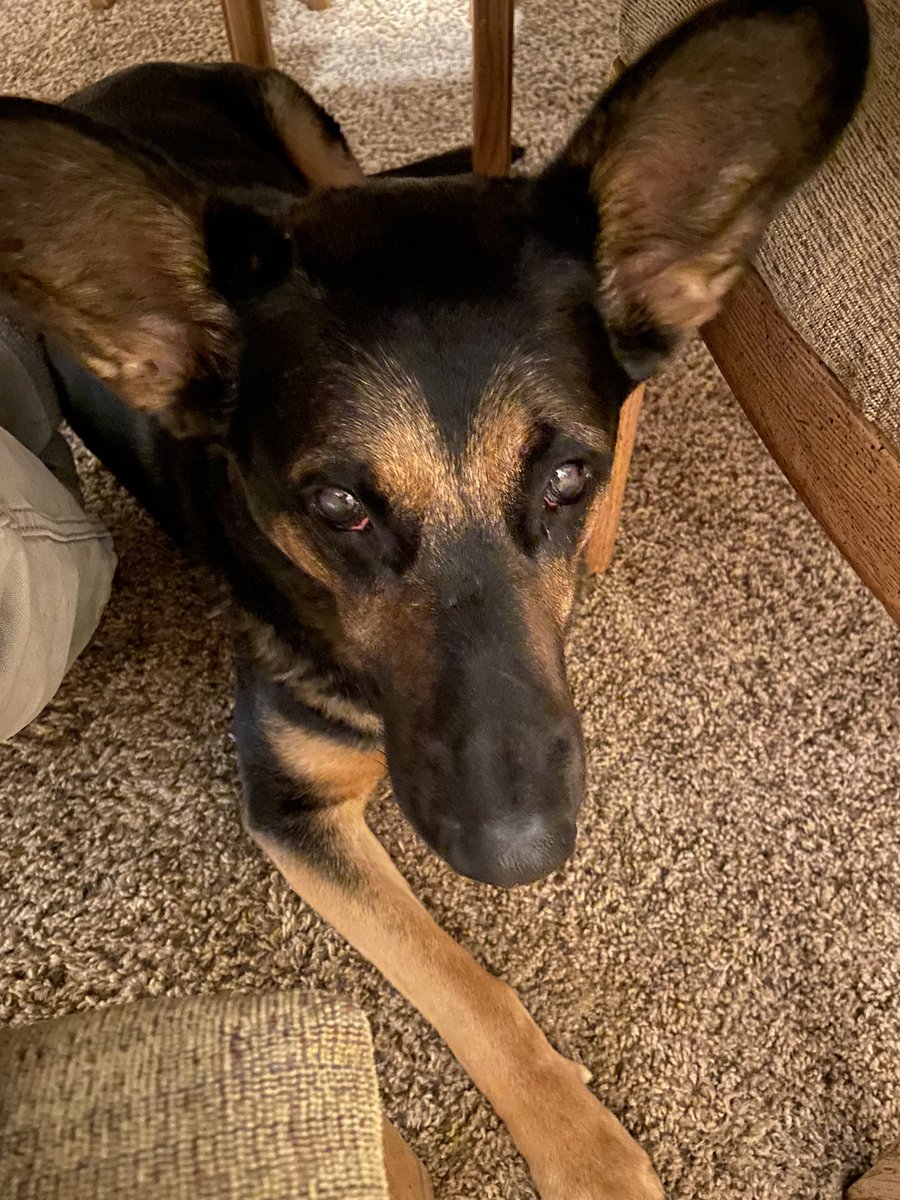 Jeff Carrier tweet media