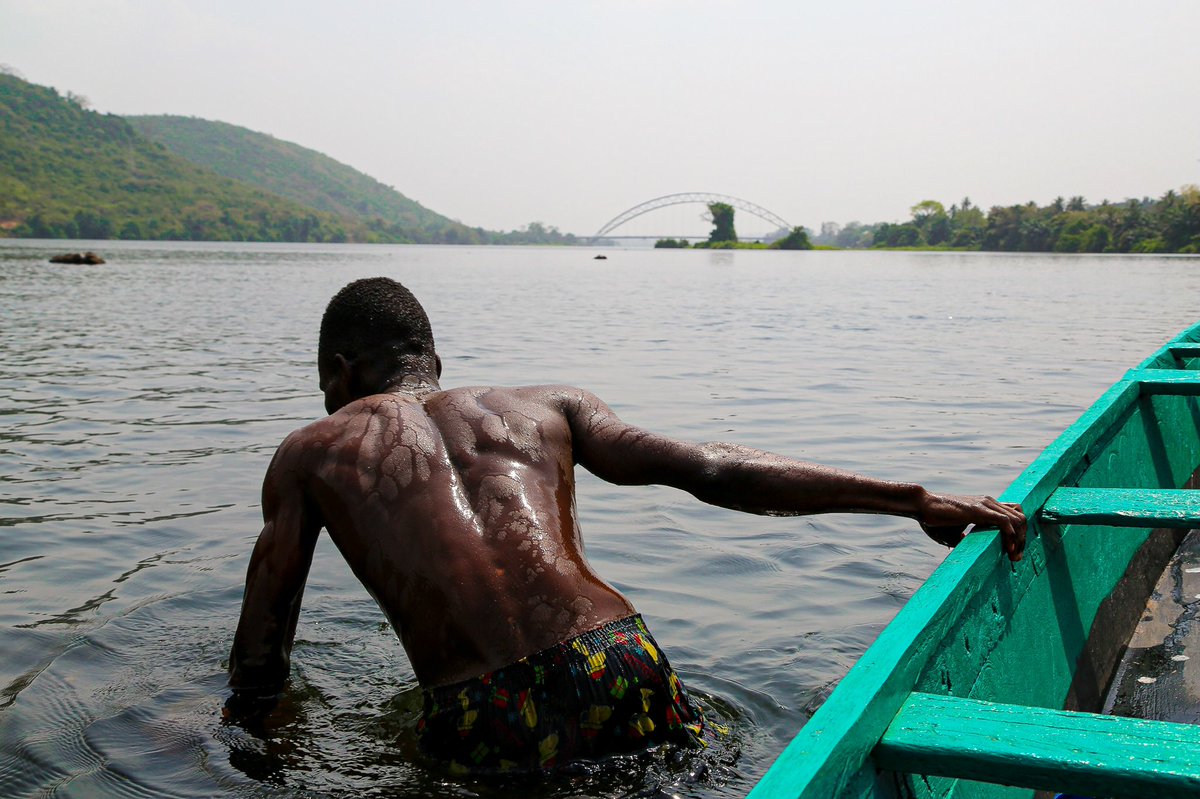 Bronibibini tweet media