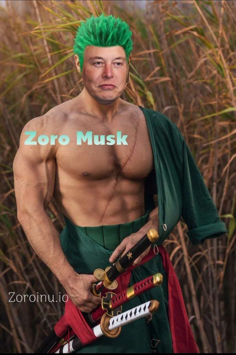 Clios111's tweet photo. @elonmusk Zoro ınu!!! @elonmusk https://t.co/fmDzyKOmOq