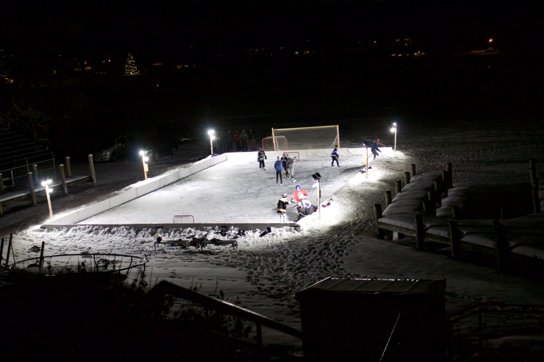 GoBros.com 🧦 Sock Experts tweet media