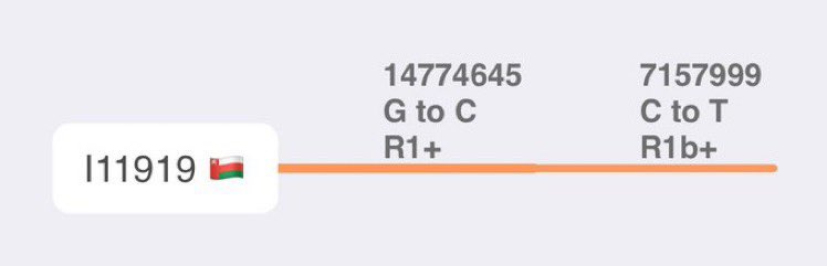 تحليل عينة الرفات رقم: I11919
المكتشفة برأس الحمراء في عمان 🇴🇲 
والتي يبلغ متوسط عمرها 5400 سنة
حيث تتضح إيجابيتها لتحورٍ أسفلR1
وتحور آخر أسفل R1b
مما يؤكد تفرع الرفات من السلالة R1b

ملف العينة في الموقع العالمي:
trace.ncbi.nlm.nih.gov/Traces/sra/?ru…