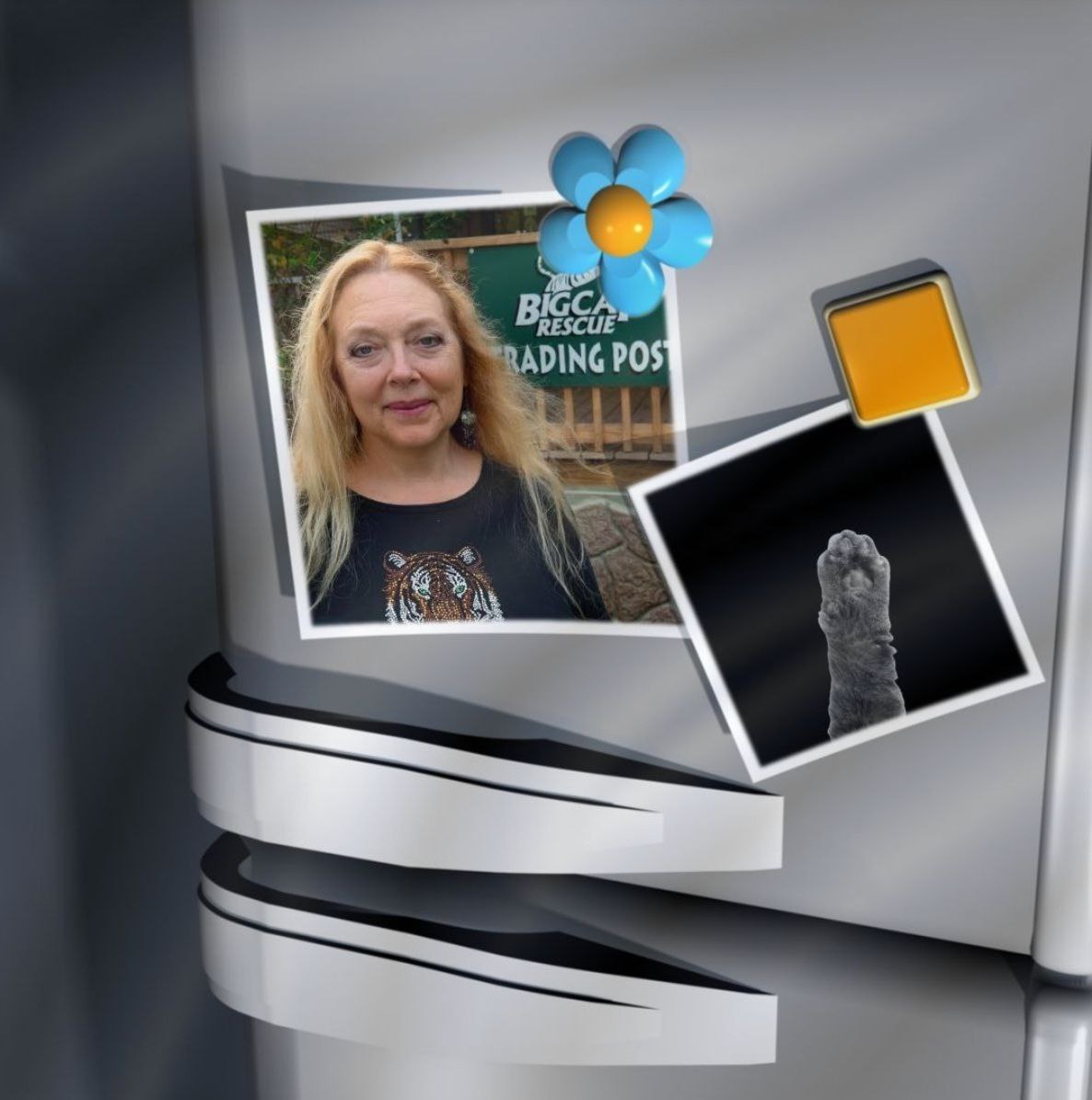 Cat Arm Coin tweet media