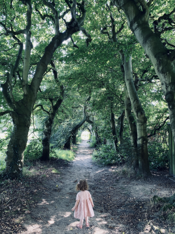 QingCrown0's tweet photo. @marianodivaio @Nohowstyle https://t.co/GvnEHBtcD0
Imagine that walk in this place. Keep think and stay calm. https://t.co/Bs2KAFByVm
