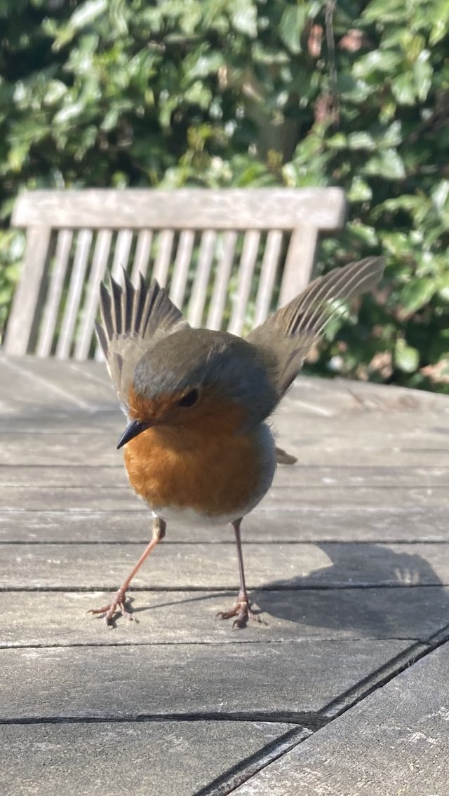 #EveryoneNeedsNature
