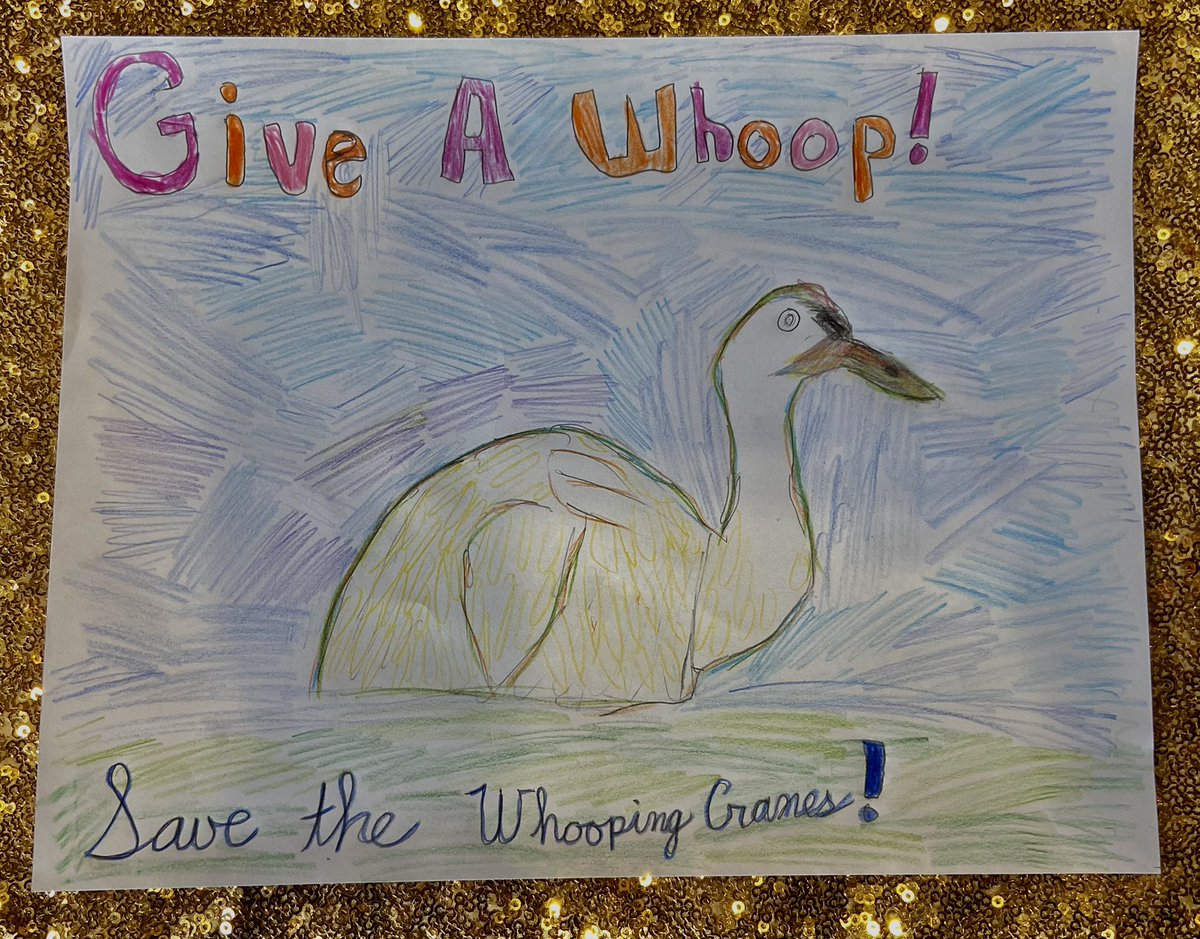 chocolatespoon's tweet photo. Whooping Cranes are endangered due to habitat loss, climate change, and previously unregulated hunting for their meat and feathers.  We should all give a whoop and take care of these amazing creatures while there’s still time!  @EffinBirds @audubonsociety #GISH #BookBash https://t.co/L2XmMeIPd2