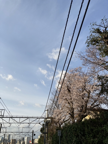 hakuraku_bb's tweet photo. ３月最後の週の月曜日

横浜市神奈川区 曇り時々晴れ⛅️

最高気温１６℃　最低気温９℃

昨日よりは気温あがりませんが暖かいです🌸

今日も１日がんばりましょう✨✨✨

#企業公式が毎朝地元の天気を言い合う
#企業公式春のフォロー祭り
#企業公式相互フォロー https://t.co/NAEcHLXtJh