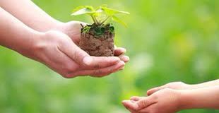 Please help!! 🙏

We really need plants/seeds that we can get planted over the next couple of weeks at the Broughton Astley Community Allotments.

If you can help, or know anyone that can help please get in touch x