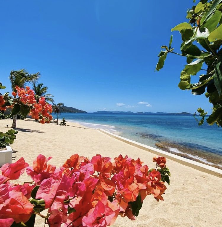 We hope all the mothers and mother figures across the UK, had a wonderful Mother’s Day!🌺❤️🇻🇬 #BVILove #BVI #BritishVirginIsland #Paradise #MothersDay 
📷 @MangoBayResort