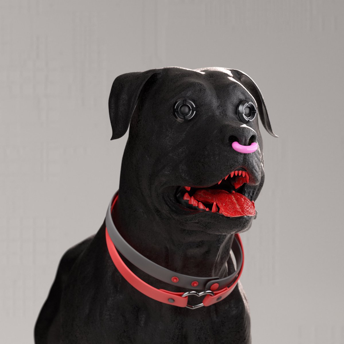 K9sCommunity tweet picture