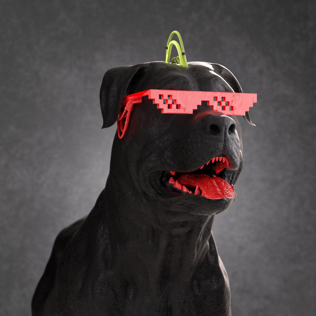 K9sCommunity tweet picture