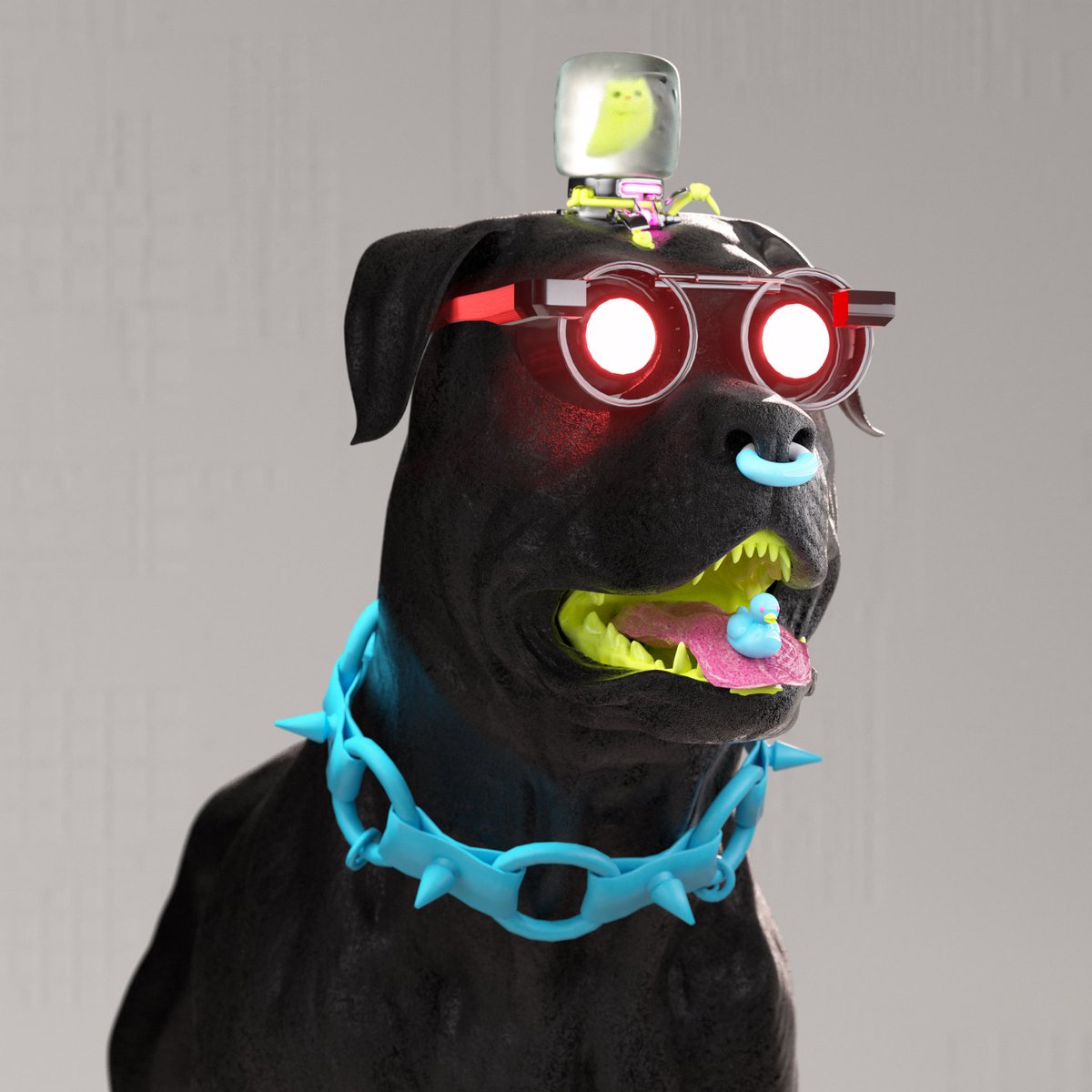 K9sCommunity tweet picture