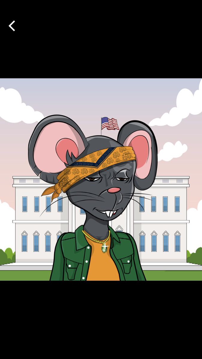 _3CE_3's tweet photo. Alright… where’s my Mice Fam at? 🐭 drop your mice below lemme see them 👀👀🔥🔥 @MedicatedMice #MedicatedMice #MM #NFTCommunity #NFT https://t.co/vI2ZQJz7jX