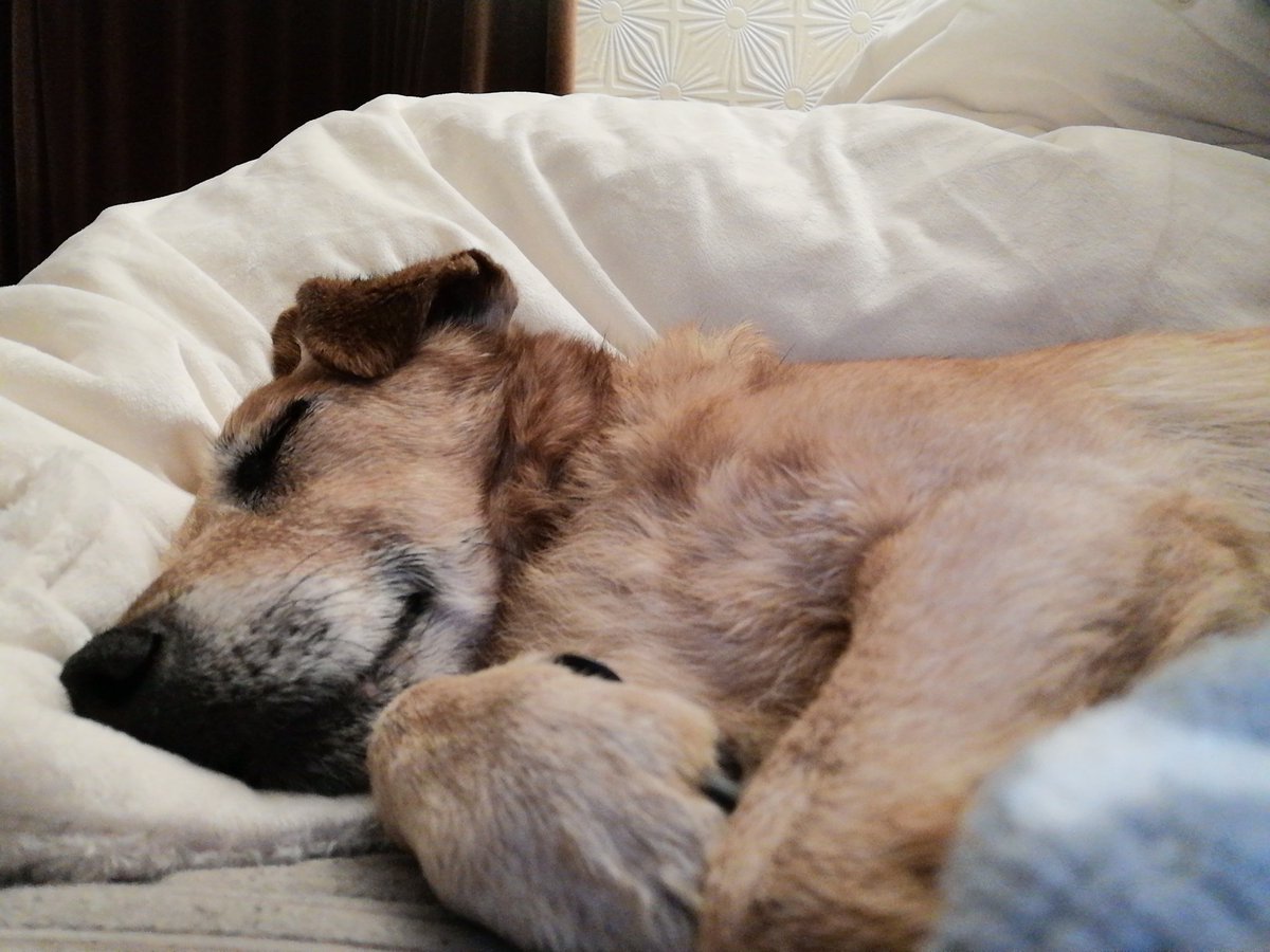 zoe__'s tweet photo. Precious angel 😭 https://t.co/KOxFfAI8Xk