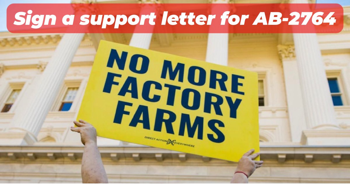 compassion8bay's tweet photo. 🚨CALL TO ACTION🚨 Calling organizations and California residents - please sign a letter of support to the Assembly Agriculture Committee in support of #AB2764 to stop building factory farms and slaughterhouses in CA! 

Sign here. It takes under 1 minute: https://t.co/K3yATbp659 https://t.co/8yaNexIC6k