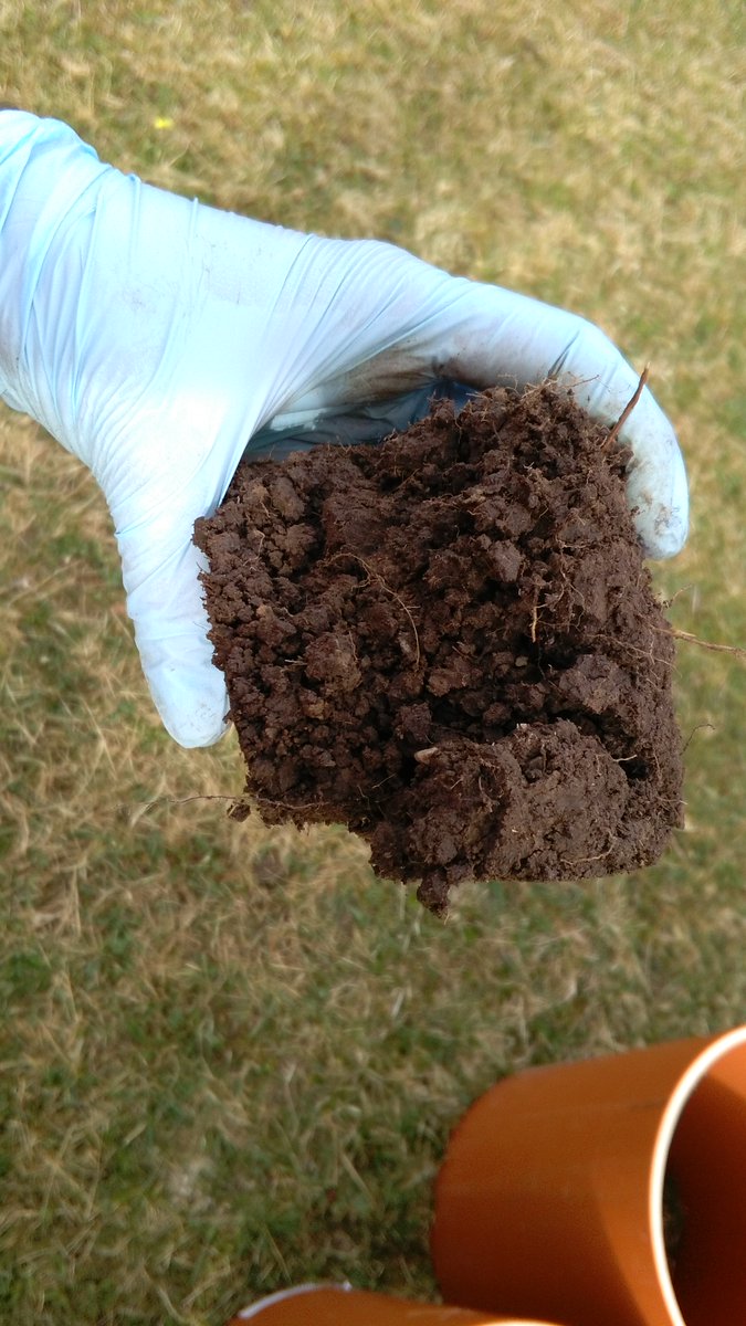 I'm happy to invite you all on the 28th of Marz at 15:00 o´clock (CET) to an exciting <a href="/tumsoil/">@TUMsoil</a> online talk: "Climate Impact of managing organic soils for agriculture" by <a href="/JensLeifeld/">JensLeifeld</a> (<a href="/agroscope/">Agroscope</a>). Link: tum-conf.zoom.us/j/66969883532. For the password DM me, please!