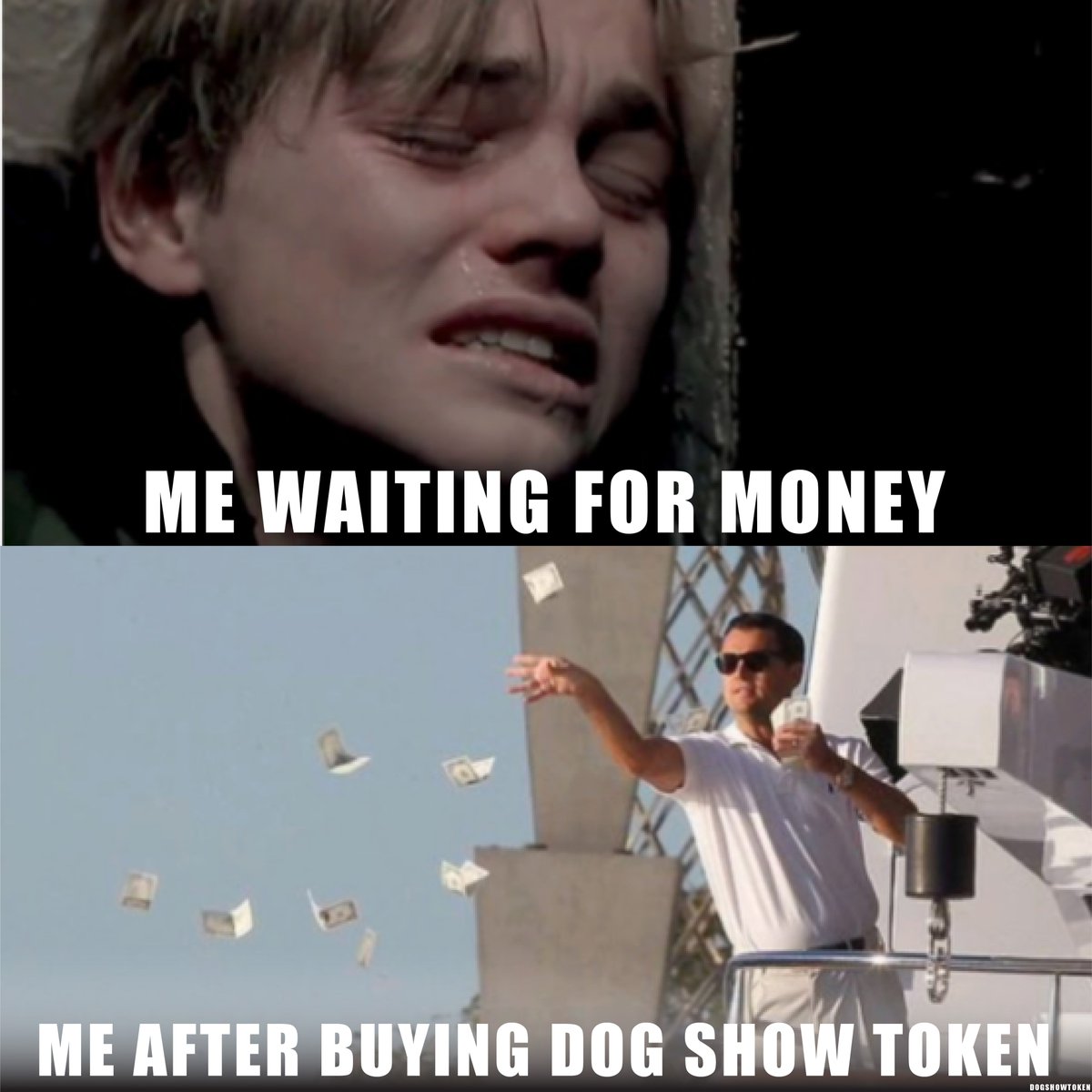 DogShowToken's tweet photo. You never know when you are gonna make it to the top.⬆️ 
So, it'sbetter you start #investing today.💯
🌍 https://t.co/1lpzFW05aO

#dogecoin #memes #memeoftheday #dogememes https://t.co/7LojtJPHQq
