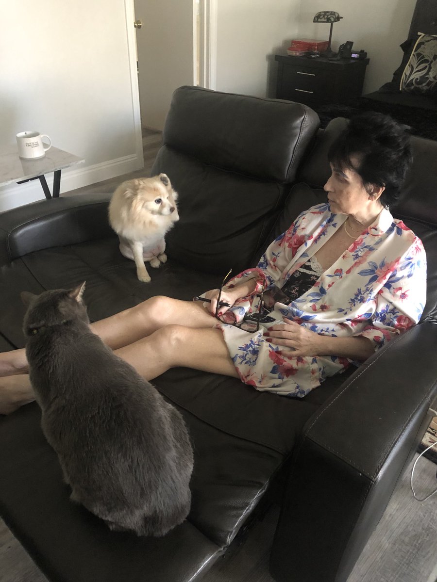 DCR20's tweet photo. My Sunday. #DogsandCatsofTwitter https://t.co/SvM2gaejxO