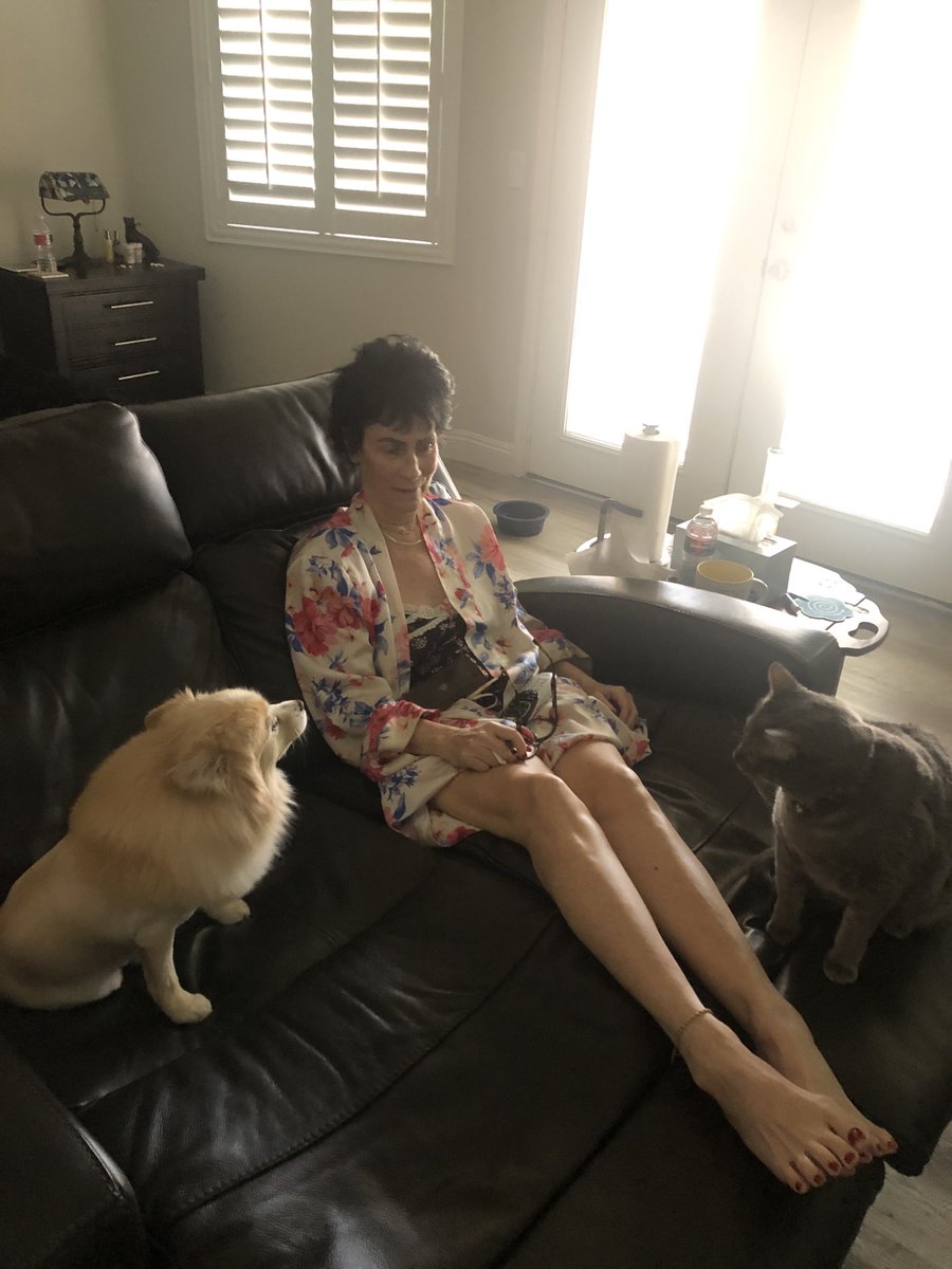 DCR20's tweet photo. My Sunday. #DogsandCatsofTwitter https://t.co/SvM2gaejxO