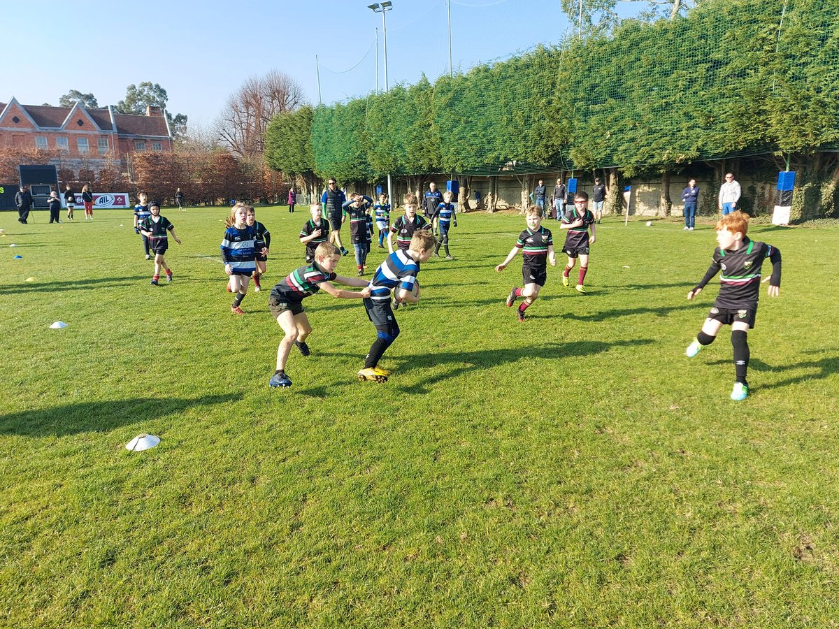 Ger O'Reilly tweet media