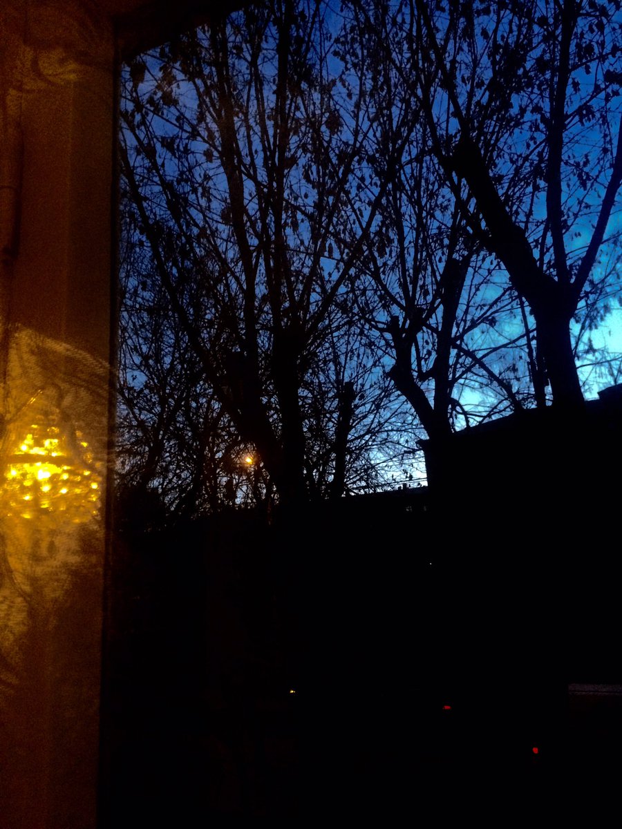 Dinara (@dinaraasadova) on Twitter photo 