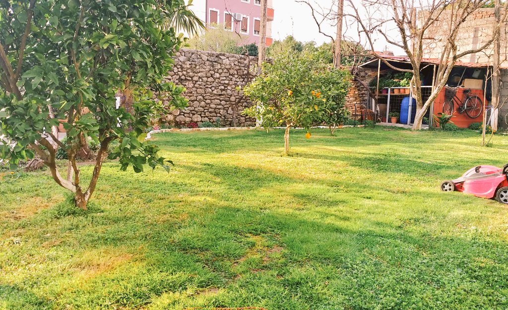 Sunday at home ‼
Home yard.
Should I make it an #NFT !?
What do you think ?