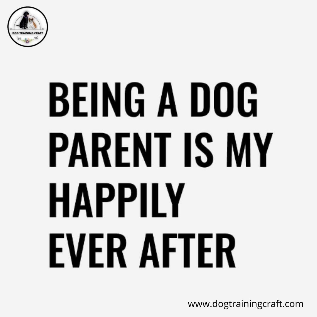 Who all can relate? 

#dogs #dogtraining #dogparent #pet #petlovers #advanceddogtraining #advanceddogtrainingskills #usa