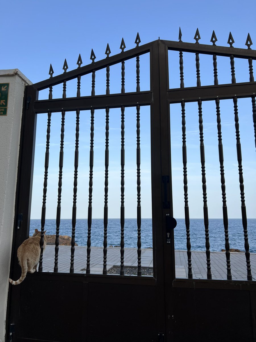 Cazzomene_'s tweet photo. Primo viaggio 2022: Fuerteventura https://t.co/csAO0Wz3sG