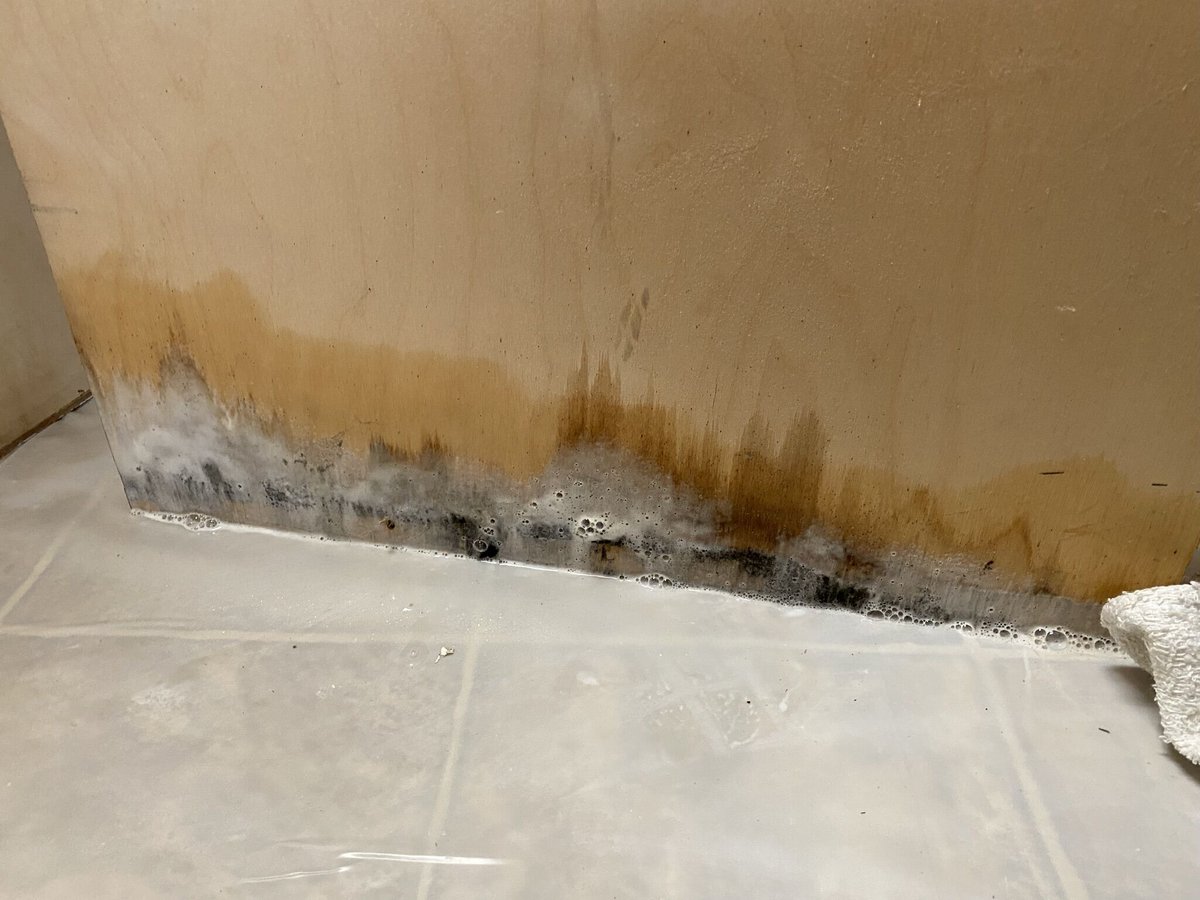 After a fire, there will always be #WaterDamage
which sometimes leads to Mold.
DO NOT attempt to eliminate mold on your own.
This is a job for Certified Experienced #RemediationContractor ONLY.

Visit carlyleinvestmentgrp.com for options. We CAN Help!

#moldremediation
