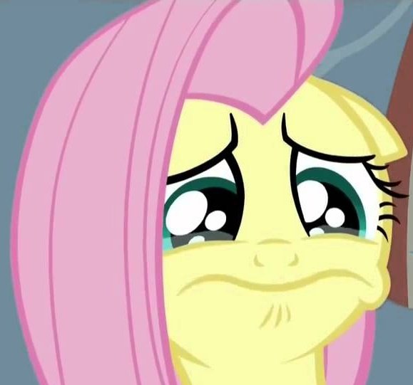 rainbow dash ate my fries