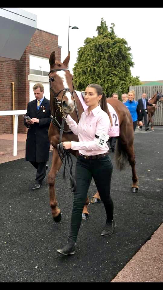 KateTracey12's tweet photo. Get where water wouldn’t🏇
This is the last Cheltenham post, I swear…🤐
#TheNiceGuy #Allaho #HorsPiste #Feigh https://t.co/qbDDtiyhBY