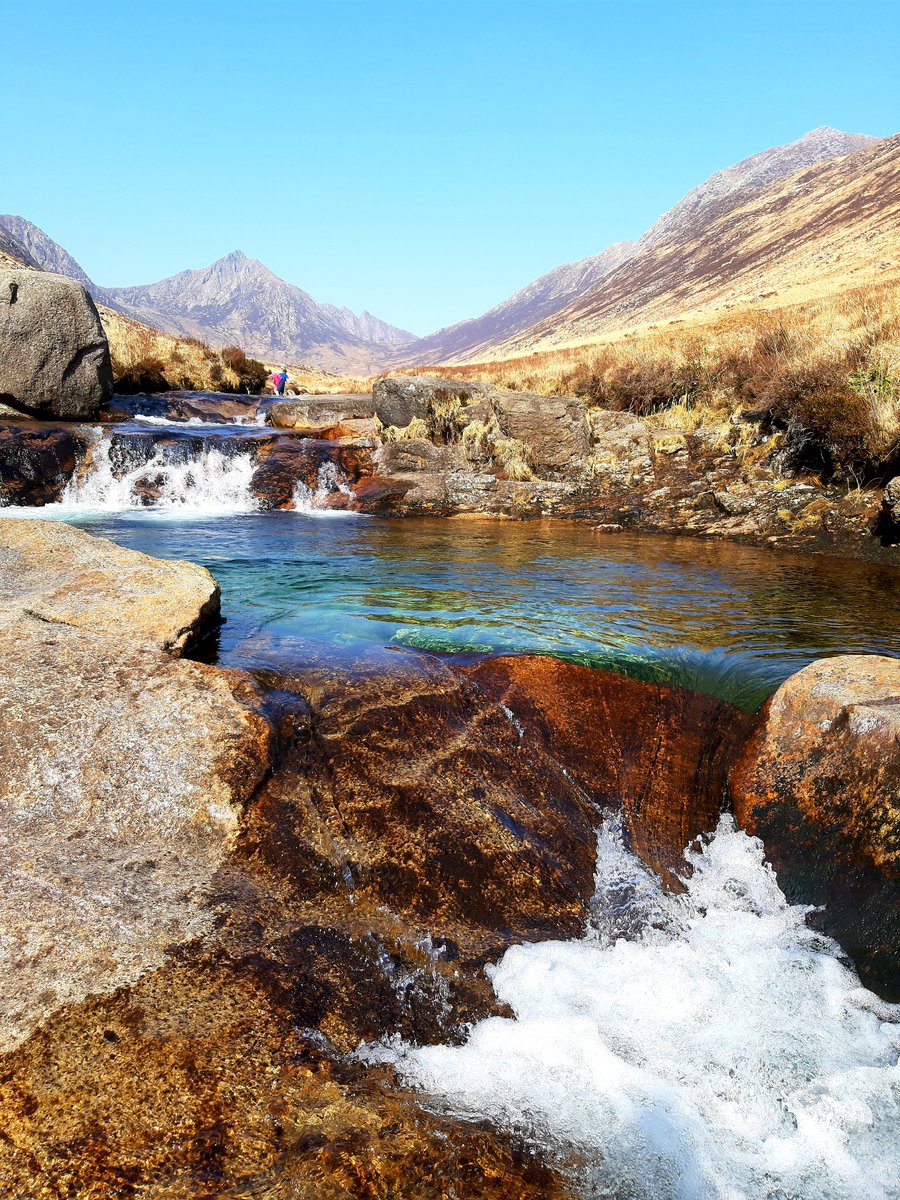 teebar68's tweet image. 