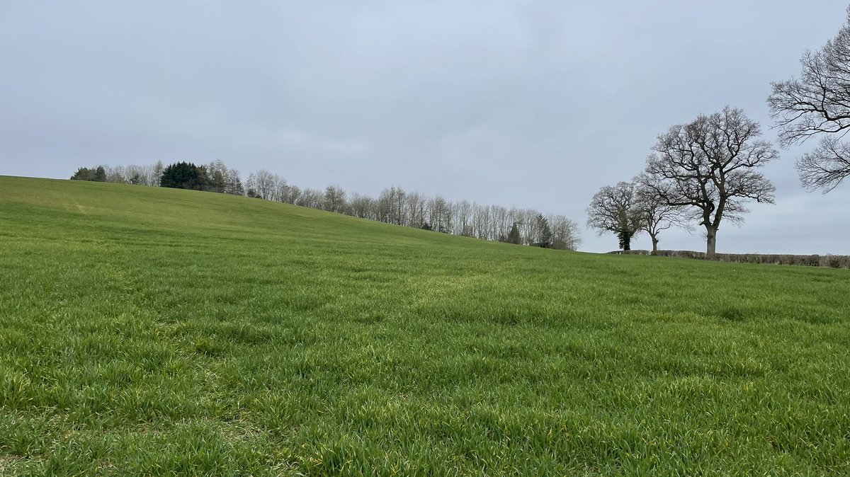 walk_draw's tweet photo. Another #SlowWays walked - Banded. Will write review for it this week. Enjoying exploring these lines of connection @SlowWaysUK #WalkDraw https://t.co/Dmfu81aVx5