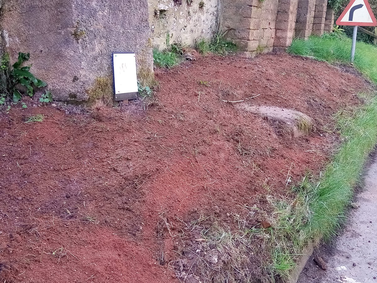 EagerTsj's tweet photo. The wildflower seeds and plant plugs are in! Thank you to my fellow Eager Beavers and to @JessicaWestHill for her support of this ongoing project. Really looking forward to seeing the bees and pollinators enjoying the flowers 🐝🌸🌺🥀🦋 https://t.co/b0baNjeOnd
