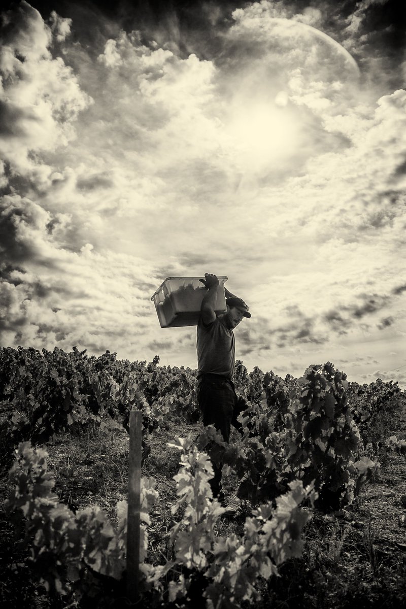 ✨¡Cómo ya visteis este mes en la Experiencia Premium encontramos un vino de la bodega @lunabeberide Y nos llegan unas fotos preciosas de sus terrenos y del paisaje del Bierzo🌟⛰ ¡Para disfrutar!🤞🏽 #winelover #winetasting #vino #wineissocial