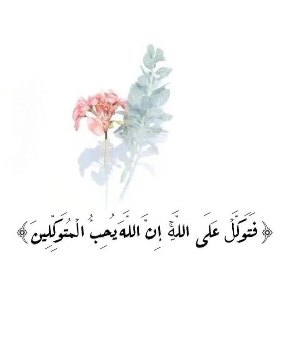 booksde2's tweet photo. مساء الخير https://t.co/h6kk8Bc508
